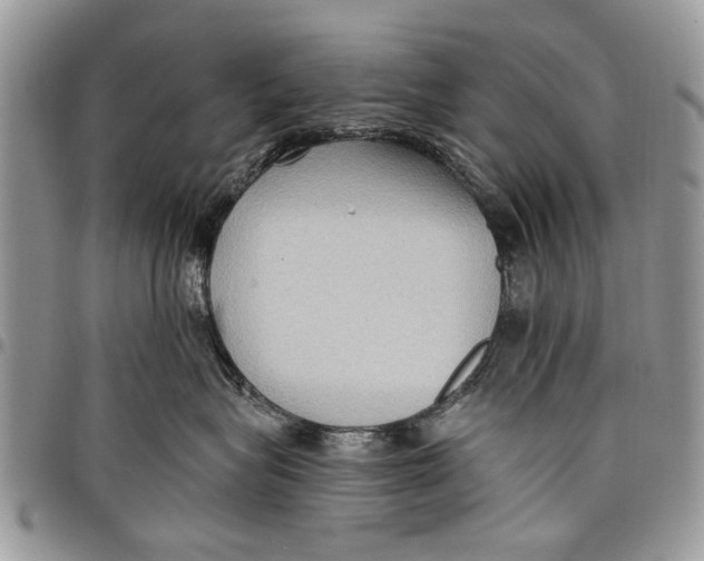 X0000097770575200803281642