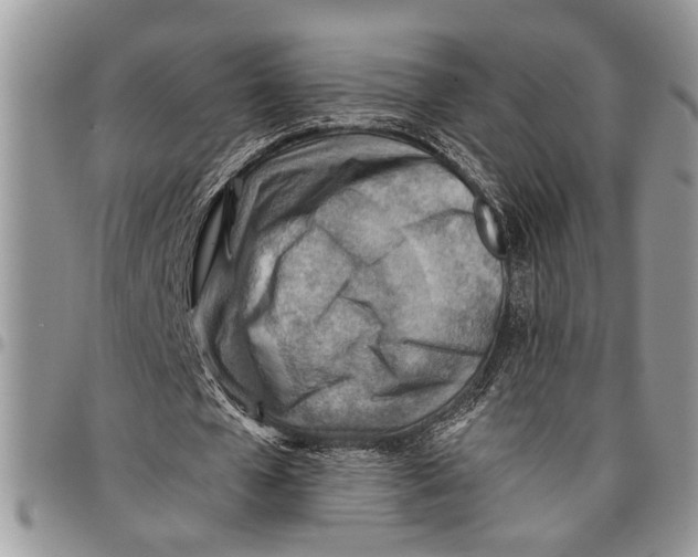 X0000097770577200803281642