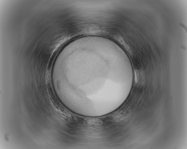 X0000097770579200803281642