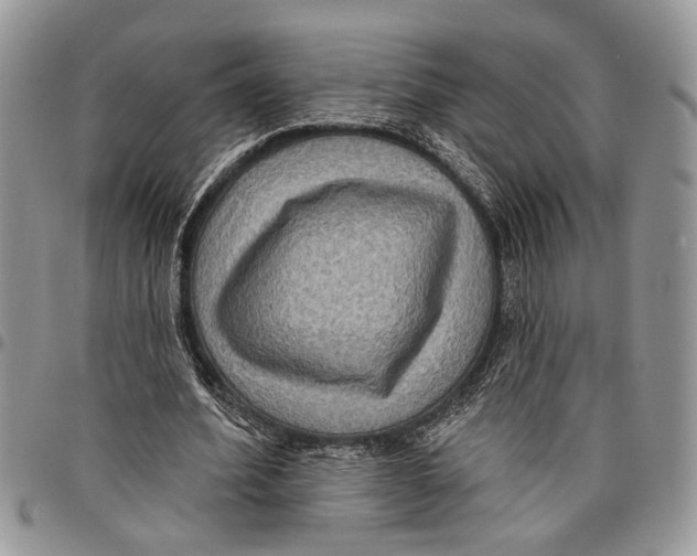 X0000097770580200803281642