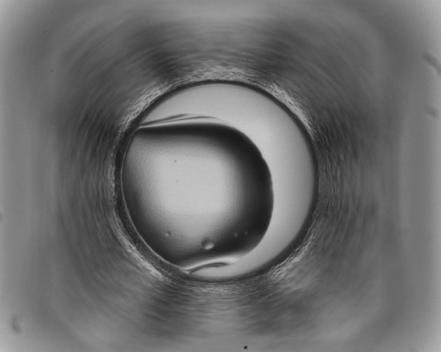 X0000097770581200803281642