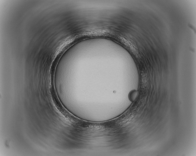 X0000097770582200803281642