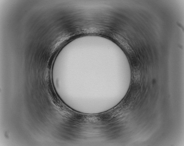 X0000097770583200803281642