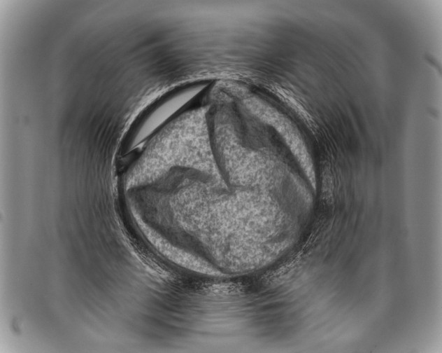 X0000097770584200803281642