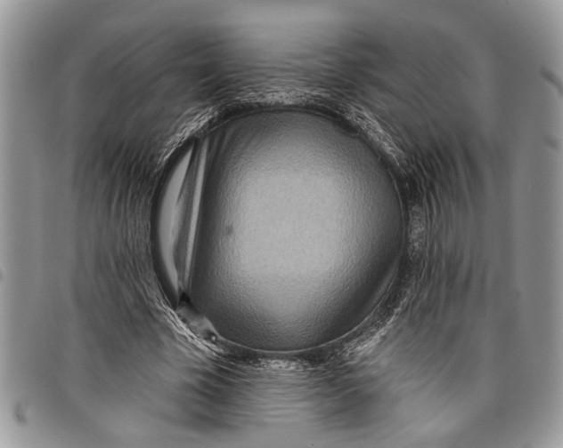 X0000097770585200803281642