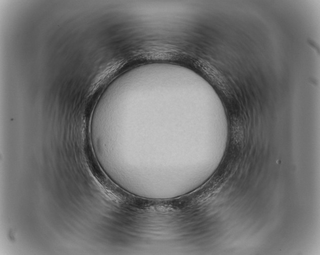 X0000097770586200803281642