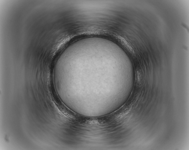 X0000097770588200803281642