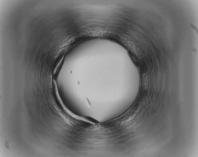 X0000097770589200803281642