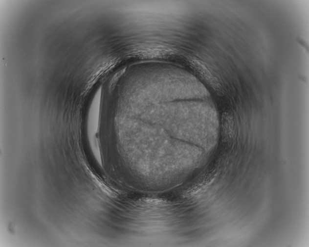 X0000097770590200803281642