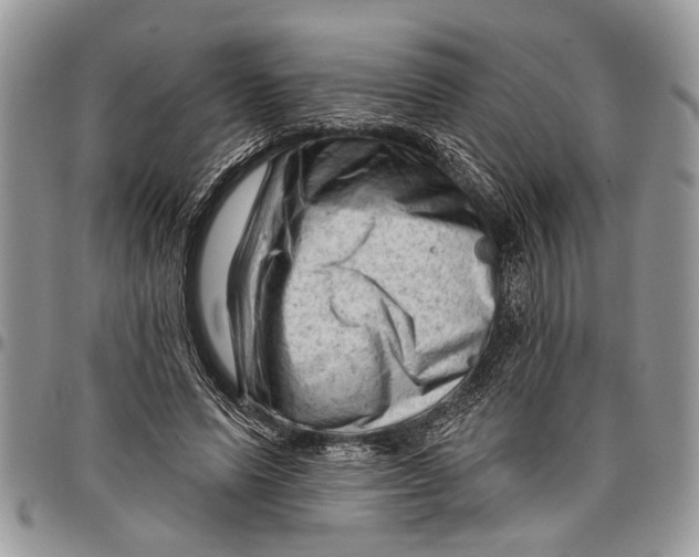 X0000097770591200803281642