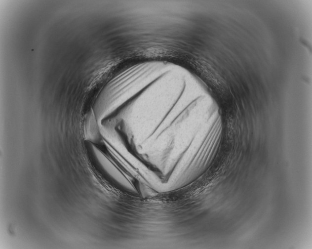 X0000097770592200803281642