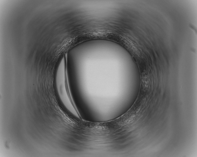 X0000097770593200803281642