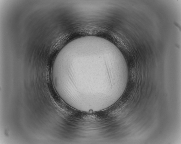 X0000097770594200803281642