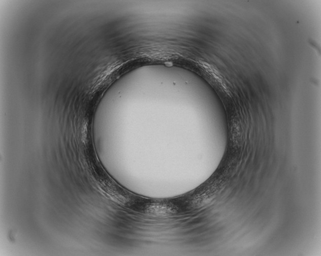 X0000097770596200803281641