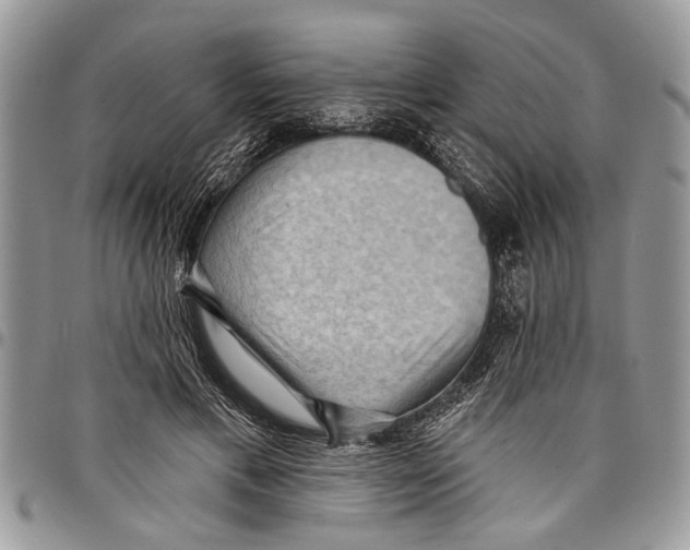 X0000097770597200803281641