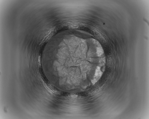 X0000097770598200803281641