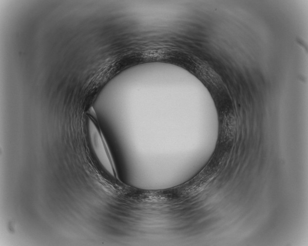 X0000097770601200803281641