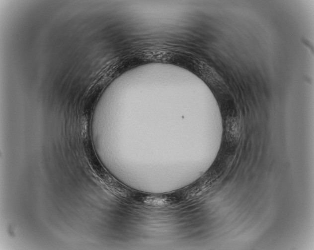 X0000097770602200803281641