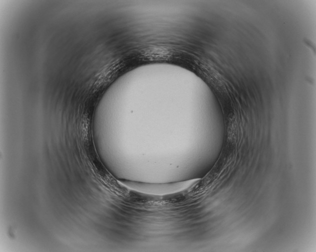 X0000097770604200803281641