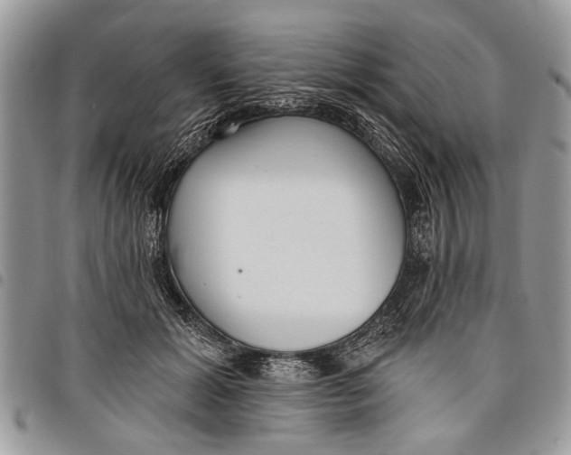 X0000097770605200803281641