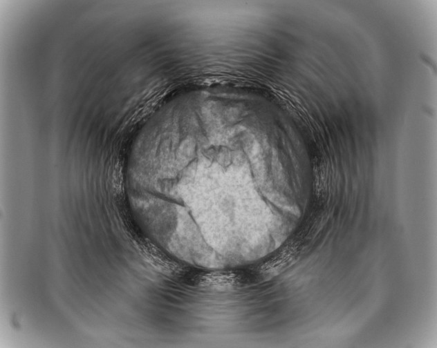 X0000097770606200803281641