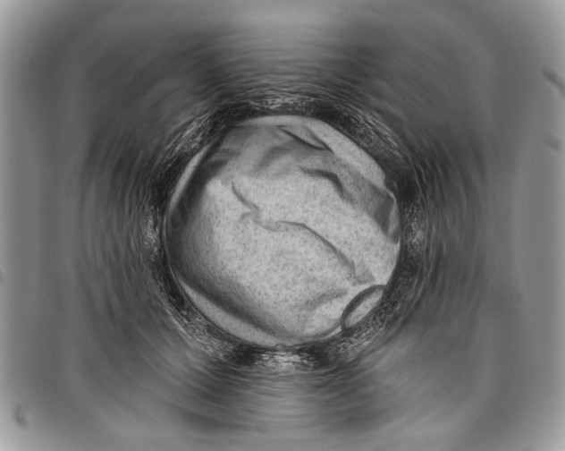 X0000097770607200803281641