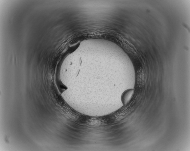 X0000097770608200803281641