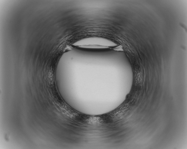 X0000097770609200803281641