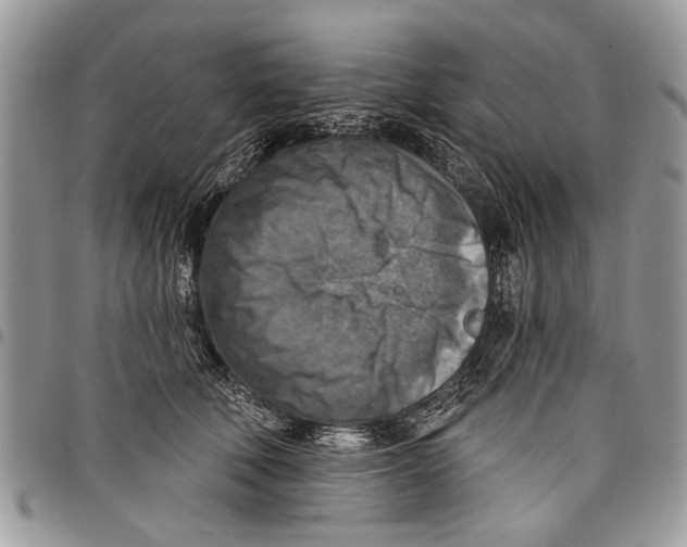 X0000097770610200803281641