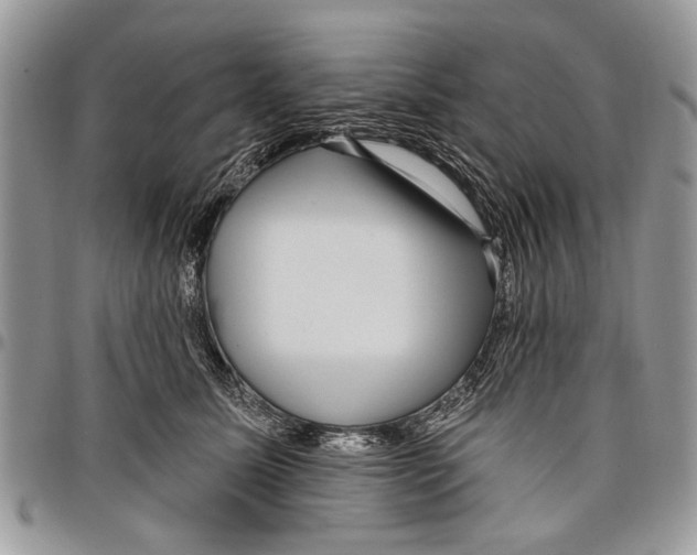 X0000097770611200803281641