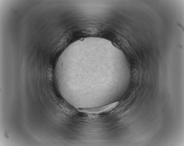 X0000097770612200803281641