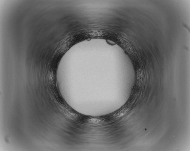 X0000097770614200803281641