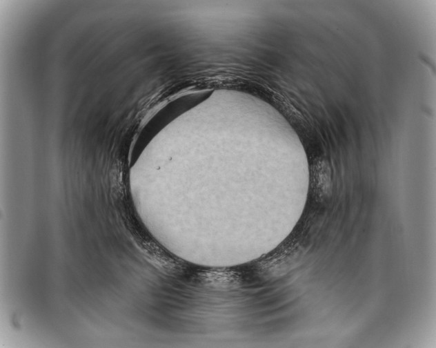 X0000097770615200803281641