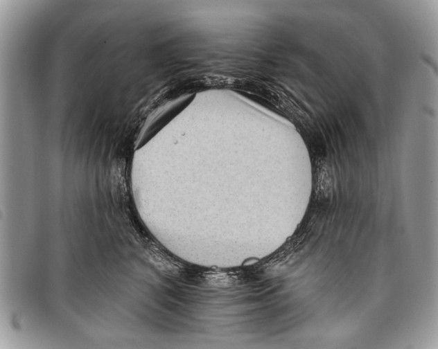 X0000097770616200803281641