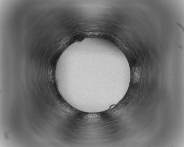 X0000097770619200803281641