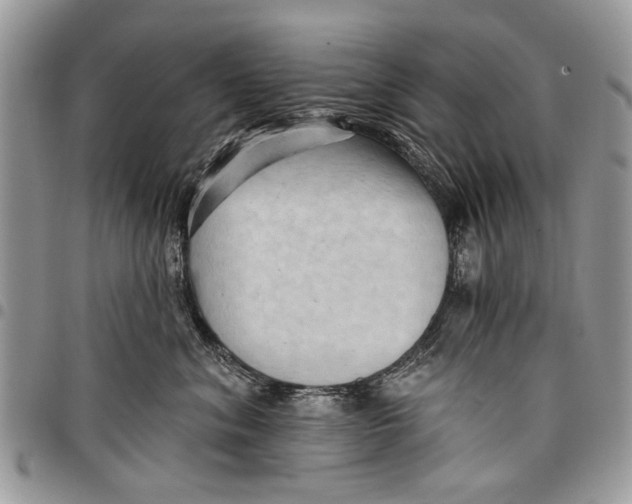 X0000097770620200803281641