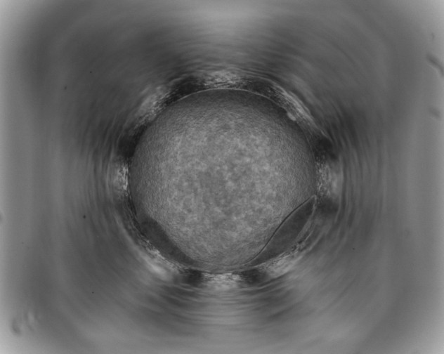 X0000097770621200803281641