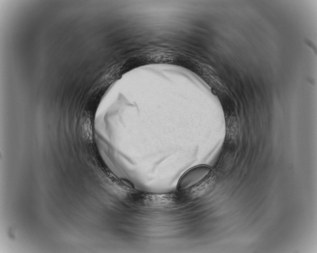 X0000097770622200803281641