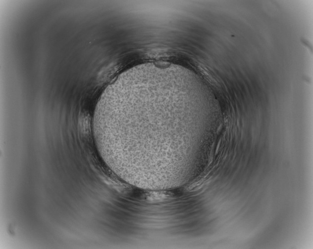 X0000097770623200803281641