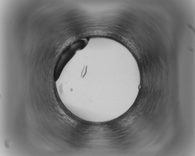 X0000097770625200803281640