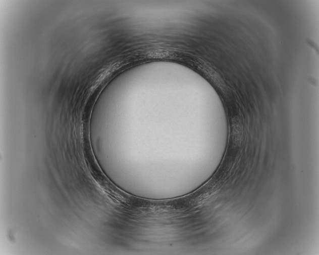 X0000097770626200803281640