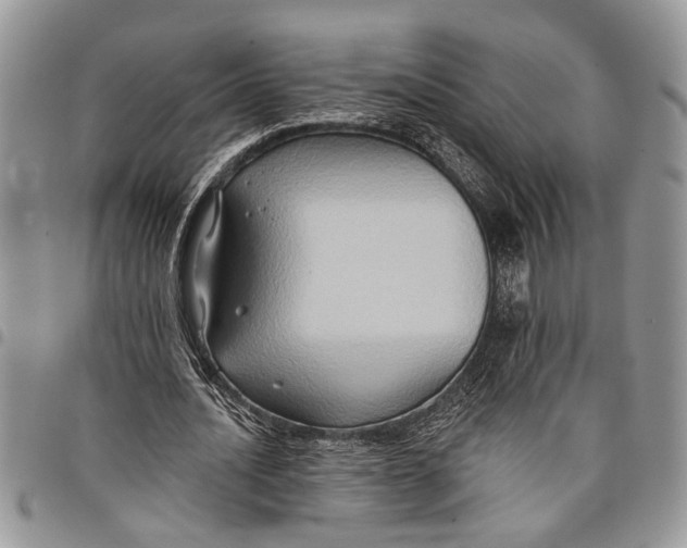 X0000097770628200803281640