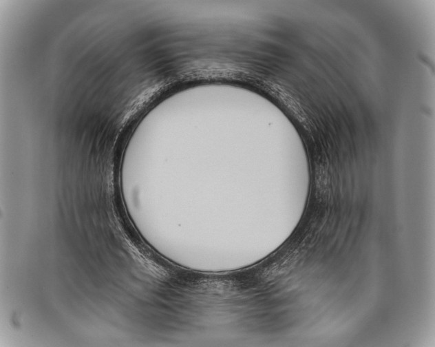 X0000097770629200803281640