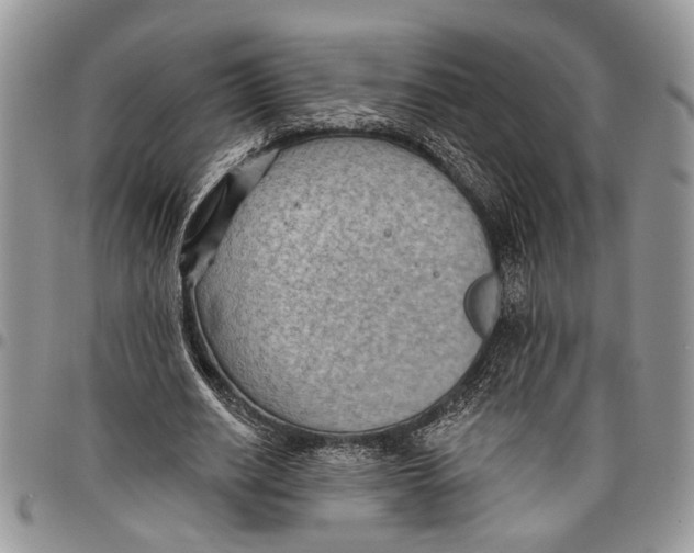 X0000097770630200803281641