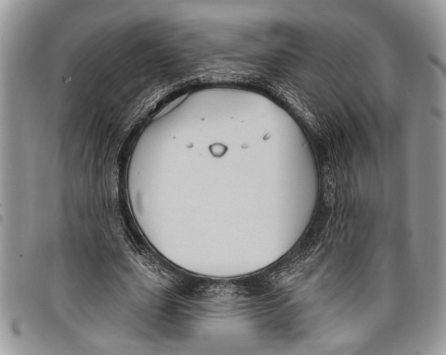 X0000097770631200803281641