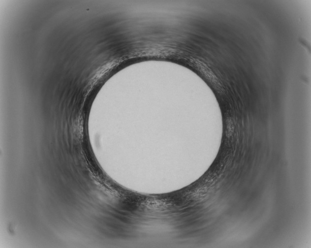 X0000097770632200803281641