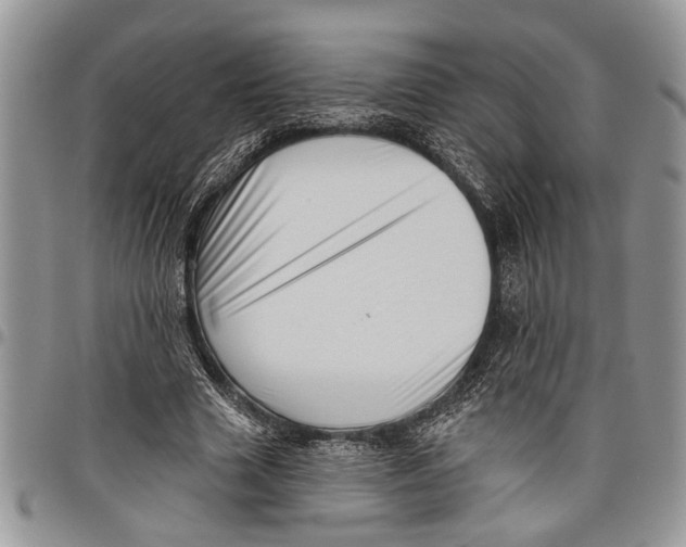 X0000097770633200803281641