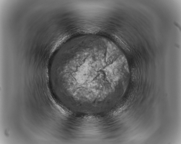 X0000097770634200803281641