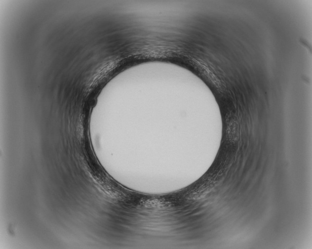 X0000097770635200803281641