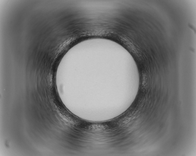 X0000097770636200803281641